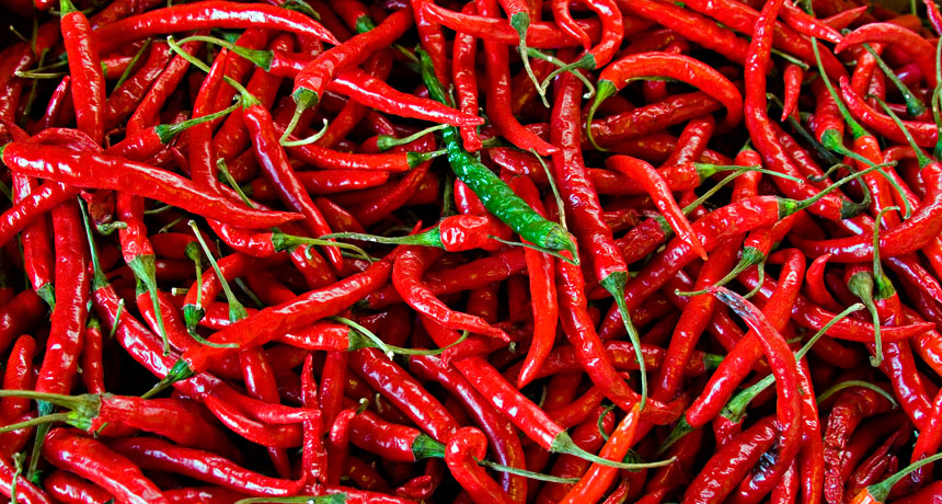 A Brief History Of Hot Sauce